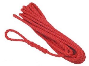 Afbeelding - 6007501-jpg